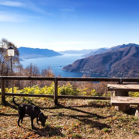 Casa Del Borgo "Aria & Acqua" Sul Lago Maggiore Maccagno Eksteriør billede