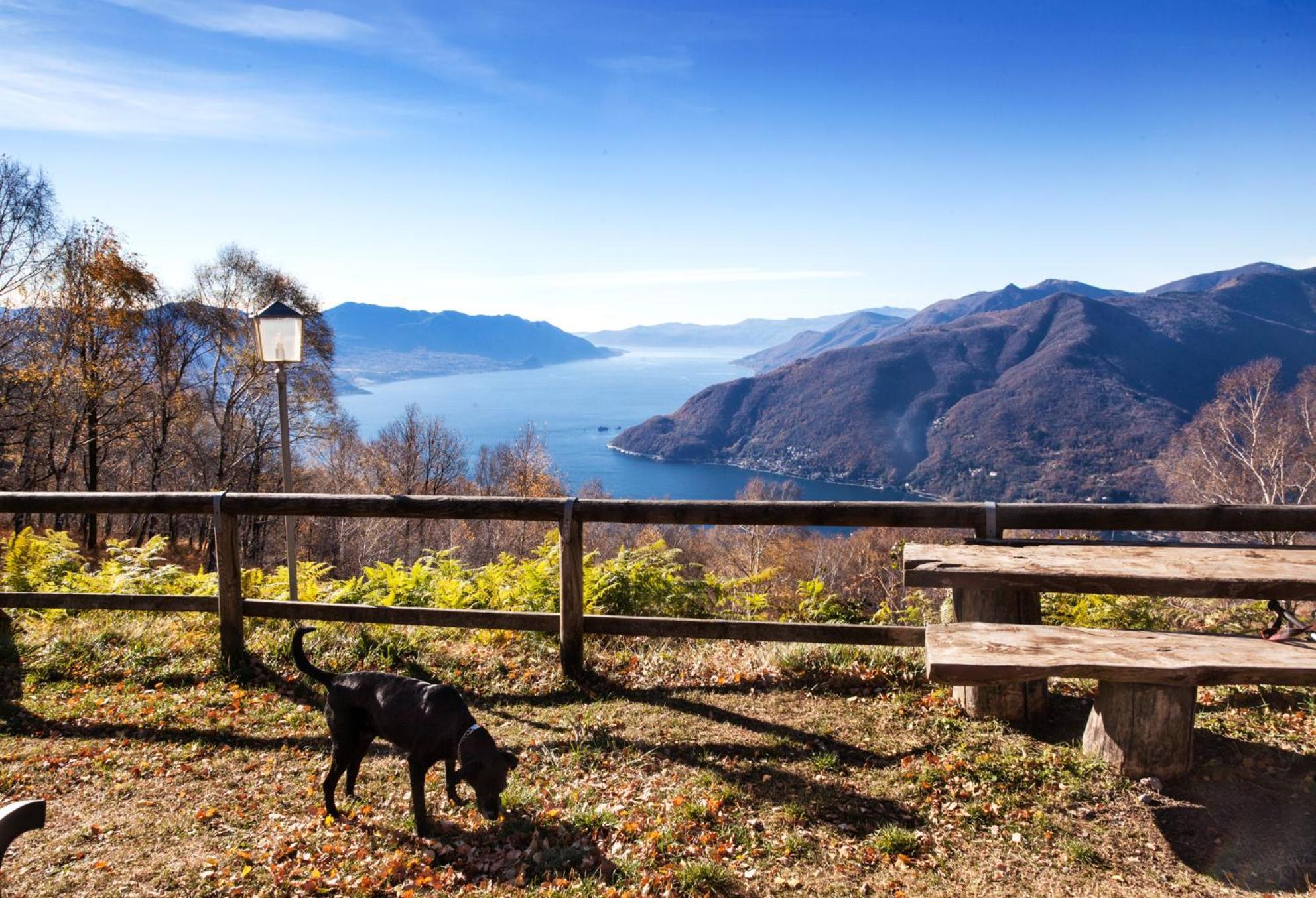 Casa Del Borgo "Aria & Acqua" Sul Lago Maggiore Maccagno Eksteriør billede